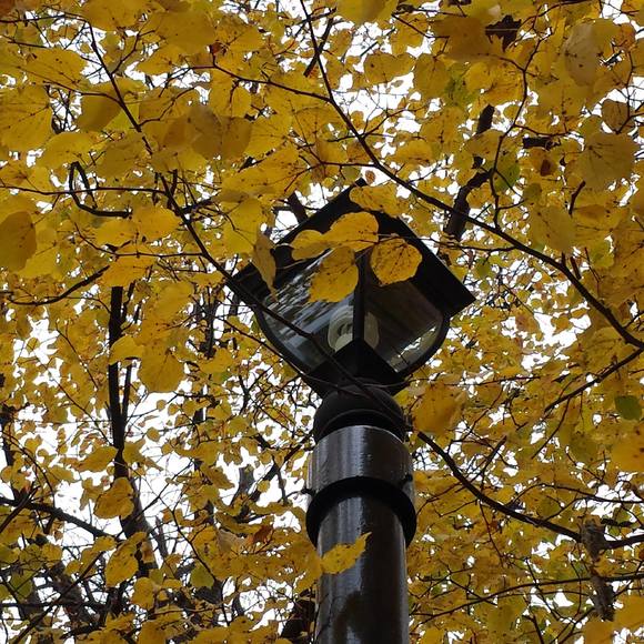 Meet your Posher, Jeanne - Picture 1 of 1